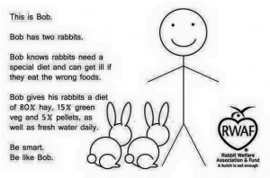 rabbits80percenthay